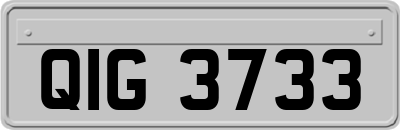QIG3733