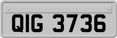 QIG3736