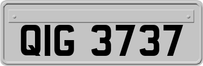 QIG3737