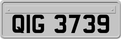 QIG3739