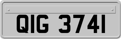 QIG3741