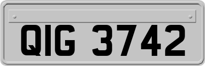 QIG3742