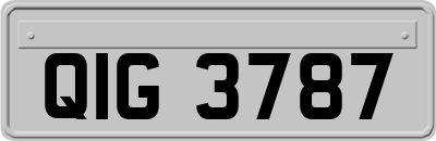 QIG3787