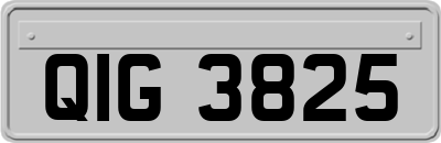 QIG3825