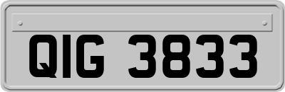 QIG3833