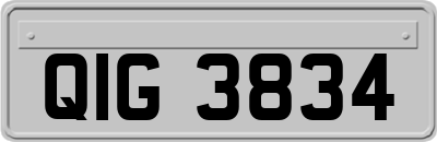 QIG3834
