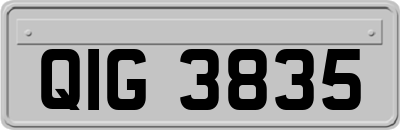 QIG3835