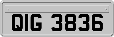 QIG3836