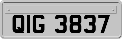 QIG3837