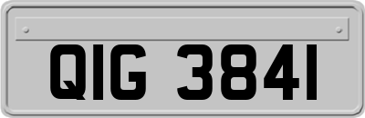 QIG3841
