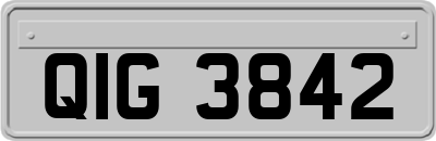 QIG3842
