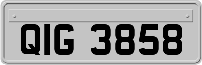 QIG3858
