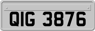 QIG3876