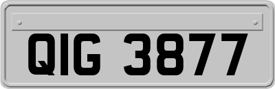 QIG3877