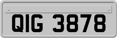 QIG3878