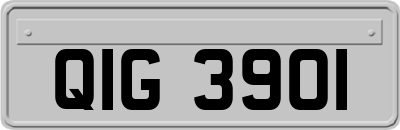 QIG3901