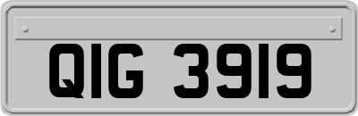 QIG3919