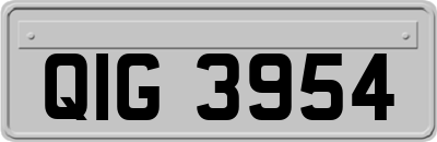 QIG3954