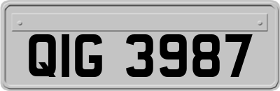 QIG3987