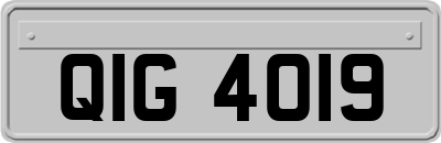 QIG4019