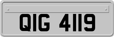QIG4119