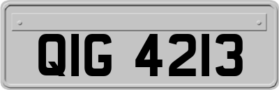 QIG4213