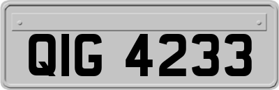 QIG4233