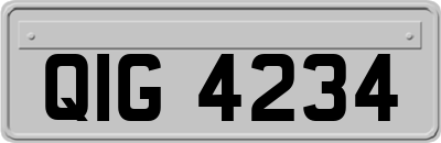 QIG4234