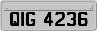 QIG4236