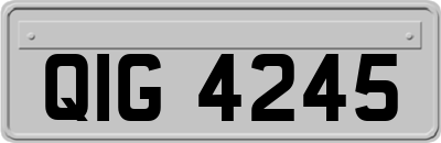 QIG4245