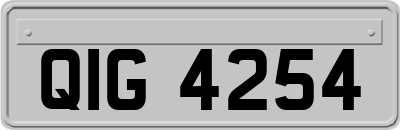 QIG4254