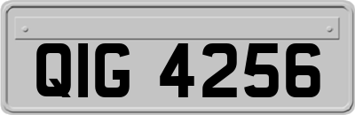 QIG4256
