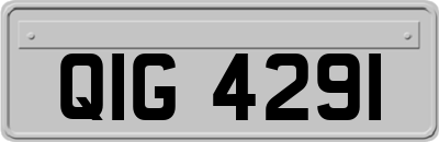 QIG4291