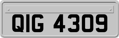 QIG4309
