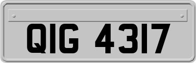 QIG4317