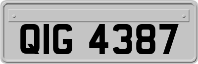 QIG4387