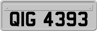 QIG4393