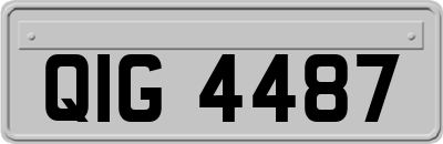 QIG4487