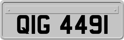 QIG4491