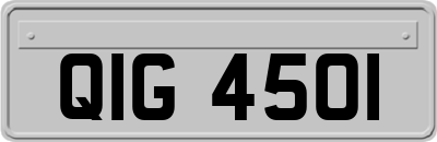 QIG4501