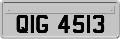 QIG4513