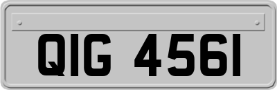 QIG4561