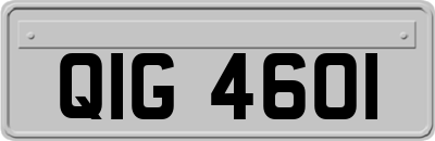 QIG4601
