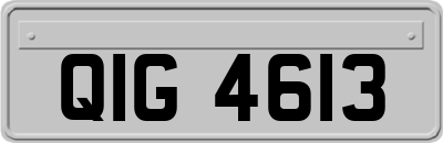 QIG4613