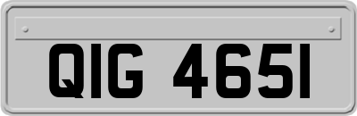 QIG4651