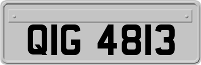 QIG4813