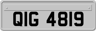 QIG4819
