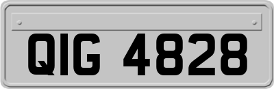 QIG4828