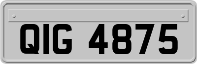 QIG4875