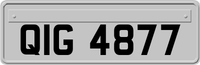 QIG4877